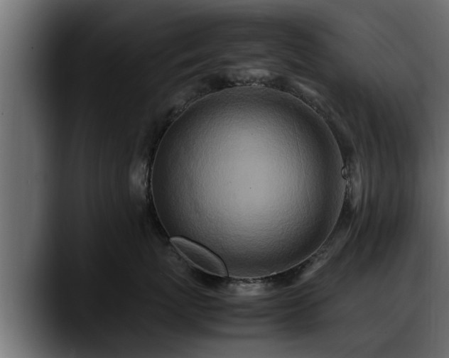 X0000088360767200705291307