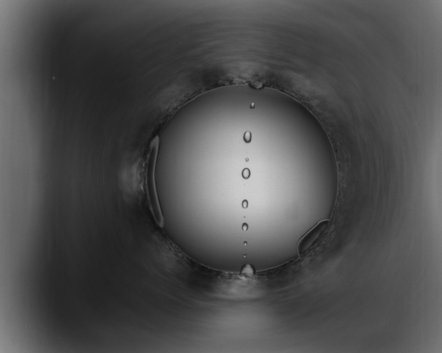 X0000088360768200705291307