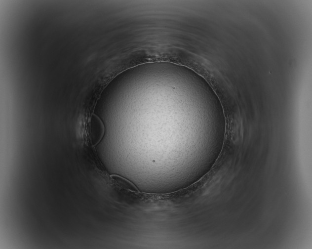 X0000088360770200705291306