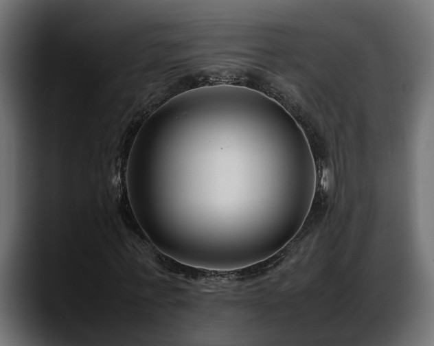 X0000088360771200705291306