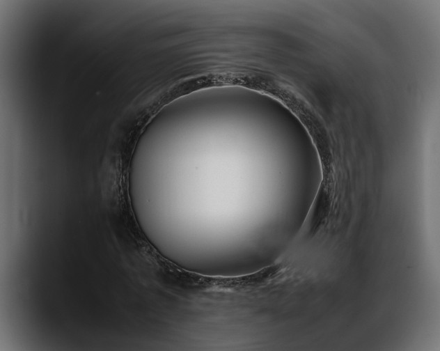 X0000088360773200705291306