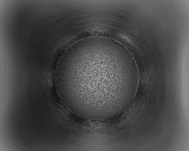 X0000088360774200705291306