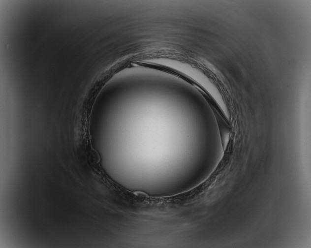 X0000088360775200705291306