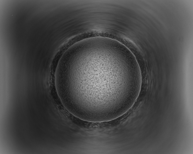 X0000088360776200705291306