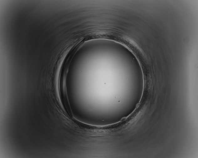 X0000088360777200705291306