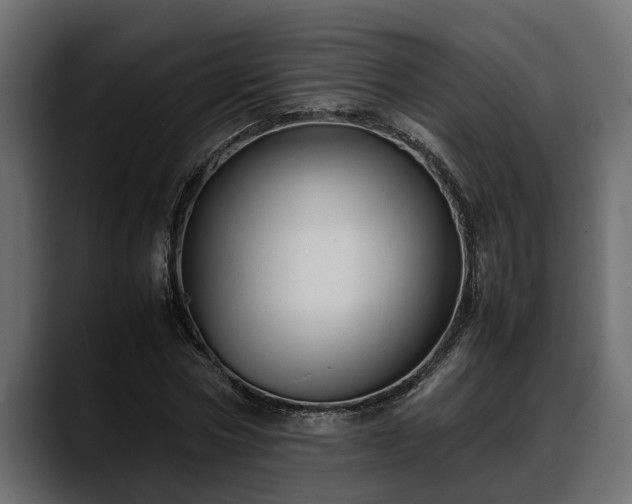 X0000088360778200705291306