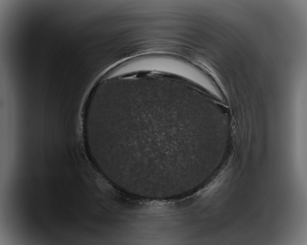 X0000088360779200705291306