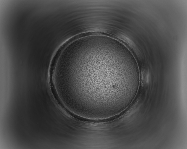 X0000088360780200705291306