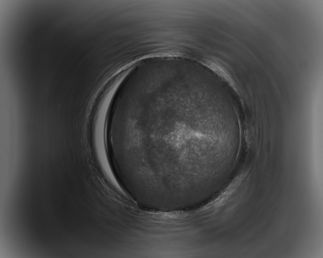 X0000088360781200705291306