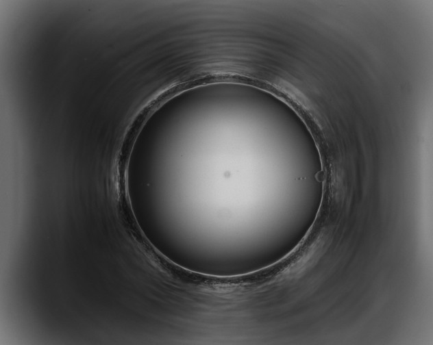 X0000088360782200705291306