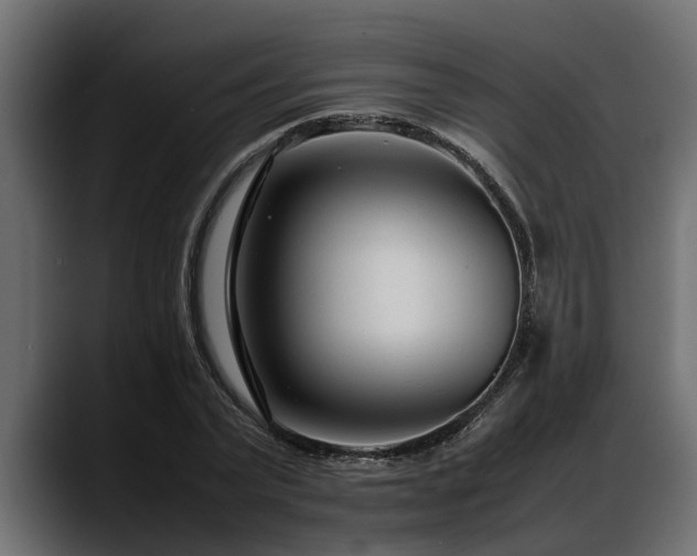 X0000088360783200705291306