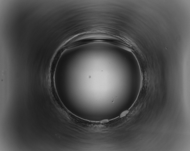 X0000088360784200705291306