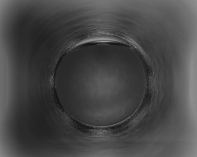 X0000088360785200705291306