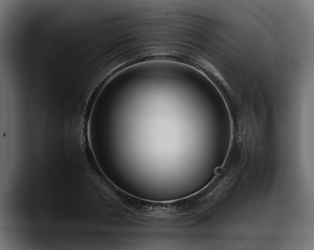 X0000088360786200705291306