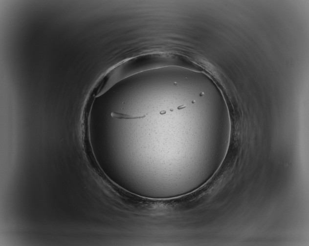 X0000088360787200705291306