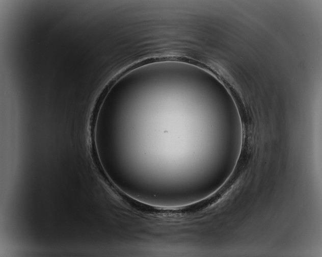 X0000088360789200705291306