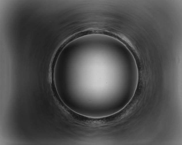 X0000088360791200705291306