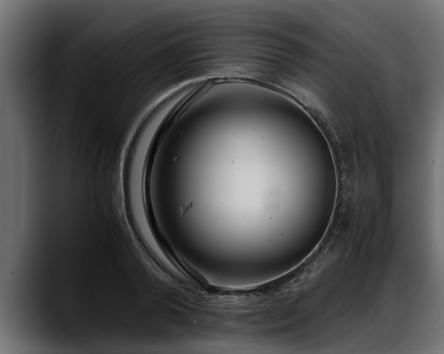 X0000088360792200705291306