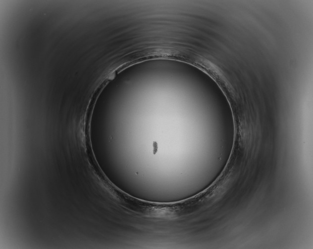 X0000088360794200705291306