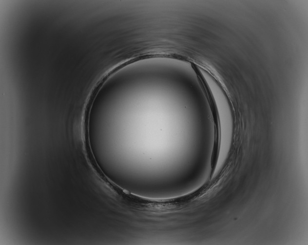 X0000088360795200705291306