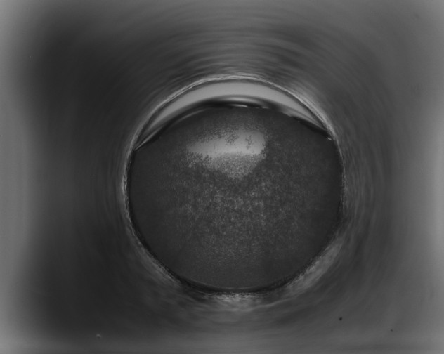 X0000088360797200705291306