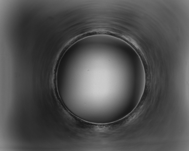 X0000088360799200705291306