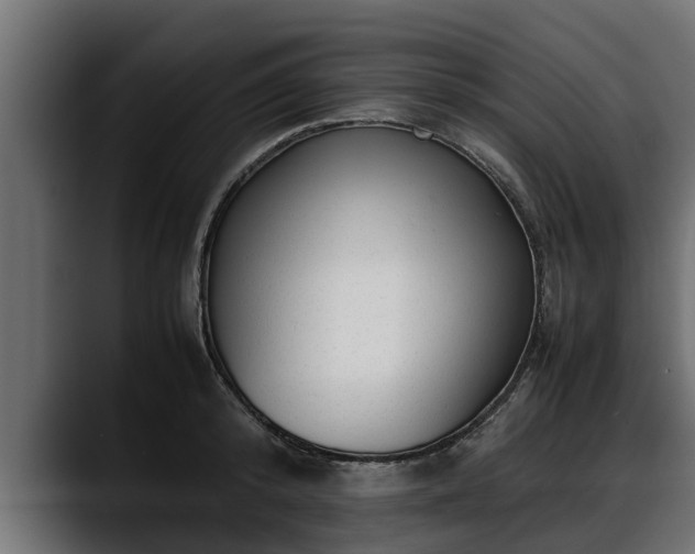 X0000088360800200705291306