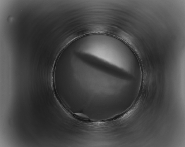 X0000088360802200705291306