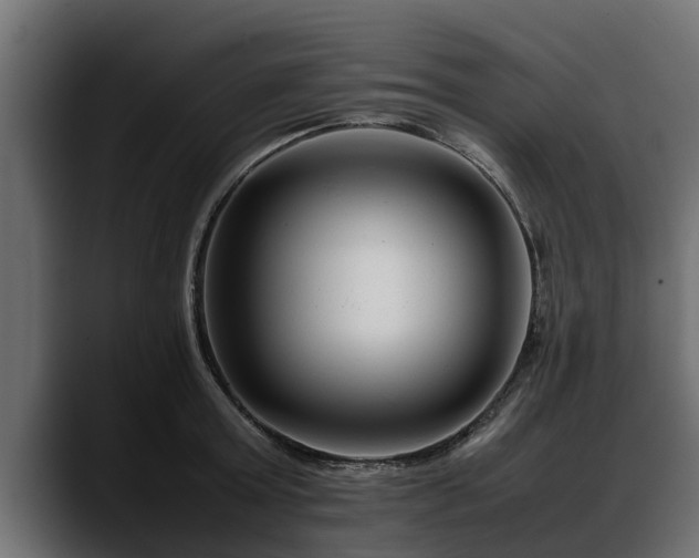 X0000088360803200705291306