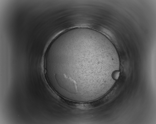 X0000088360804200705291306