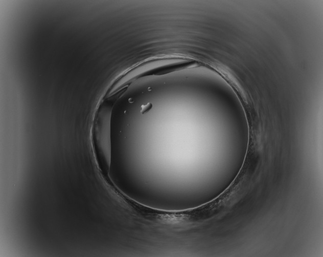 X0000088360805200705291306