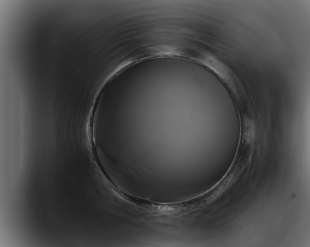 X0000088360806200705291306