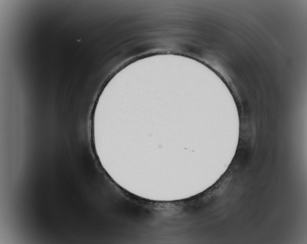 X0000088360807200705291306