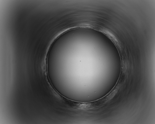 X0000088360808200705291306