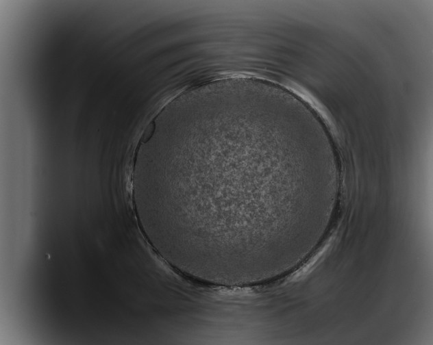 X0000088360809200705291306