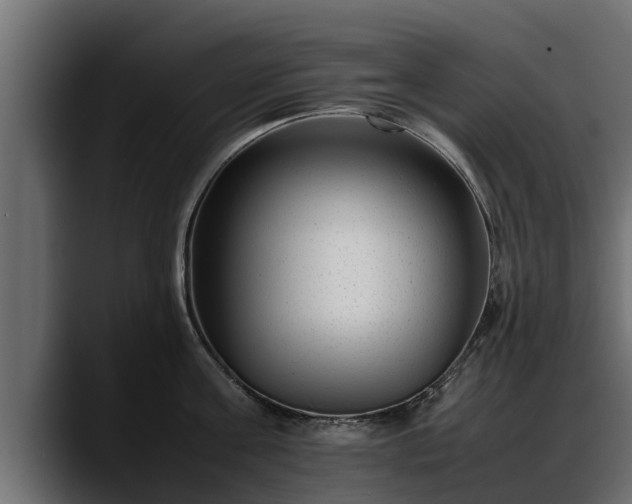 X0000088360811200705291306