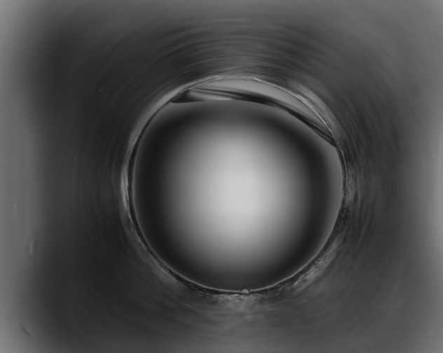 X0000088360812200705291306