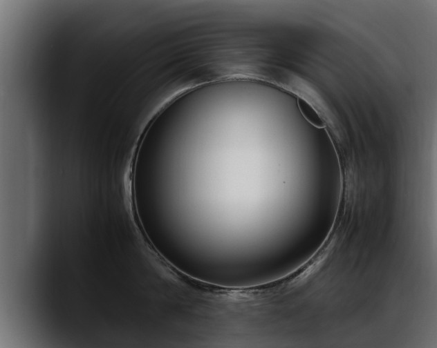 X0000088360814200705291306