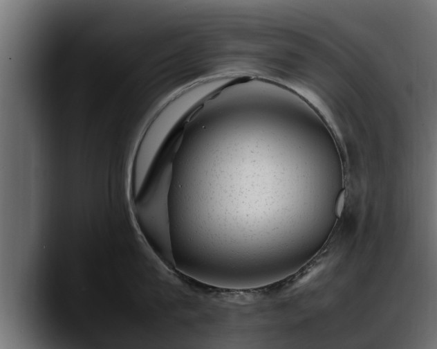 X0000088360815200705291306