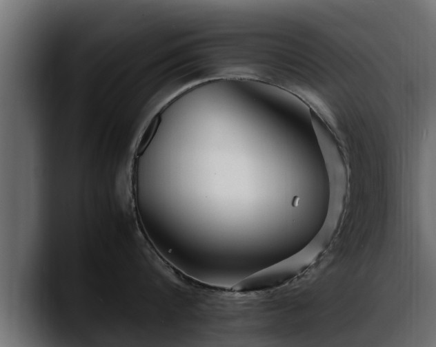 X0000088360816200705291306