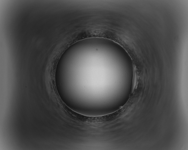 X0000088360817200705291305