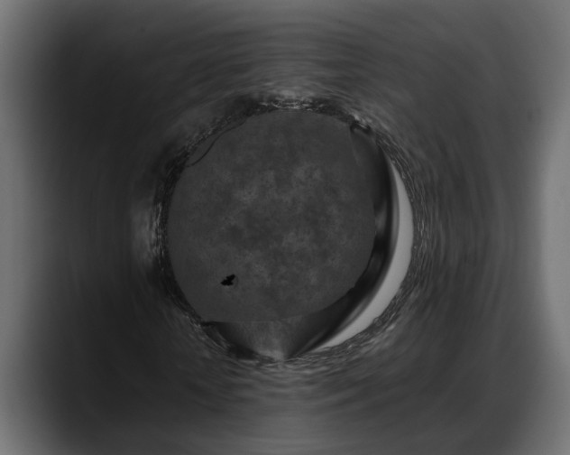 X0000088360818200705291305