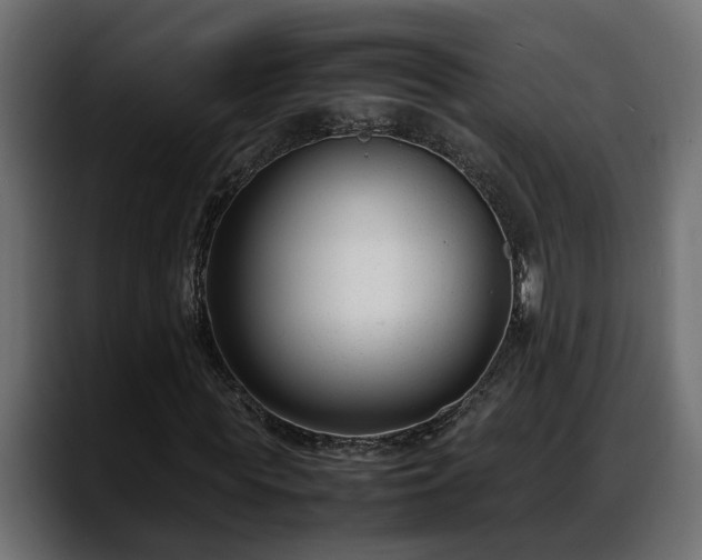 X0000088360819200705291305