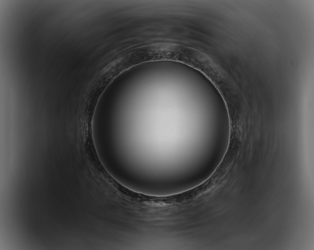 X0000088360821200705291305