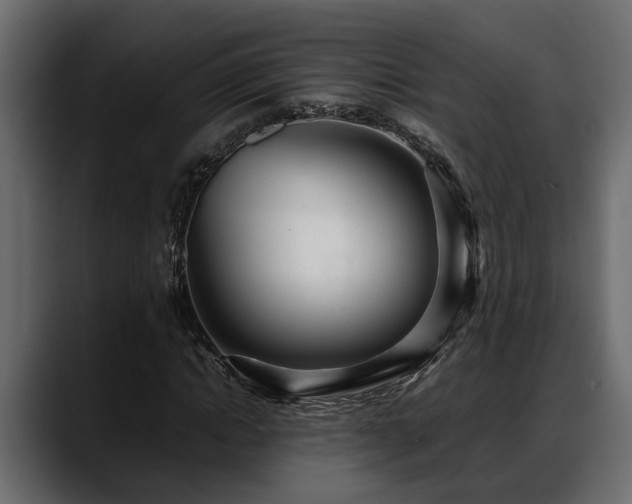 X0000088360822200705291305