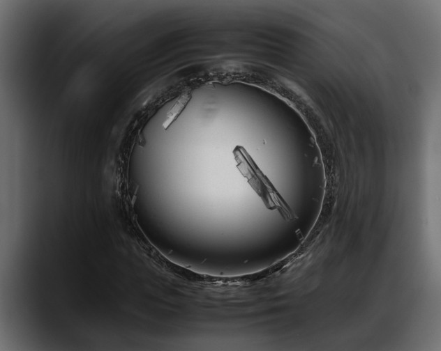 X0000088360823200705291305