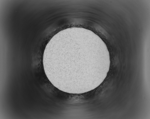 X0000088360824200705291305