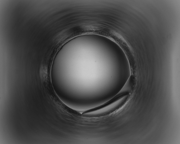 X0000088360825200705291305