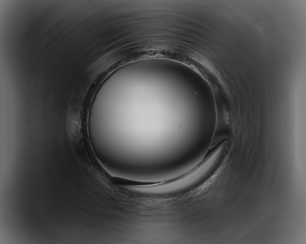 X0000088360826200705291305