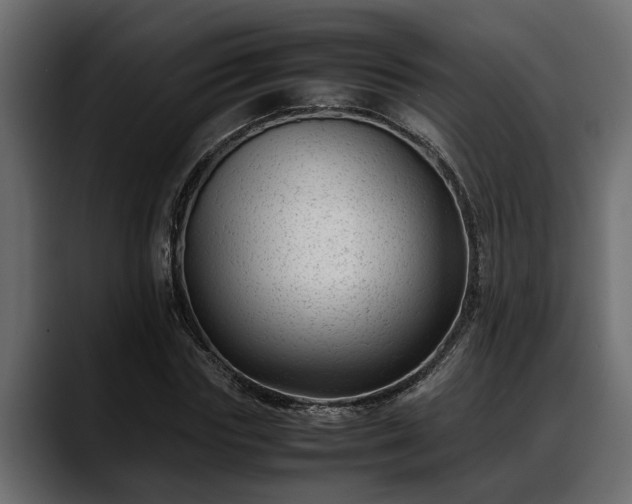 X0000088360827200705291305